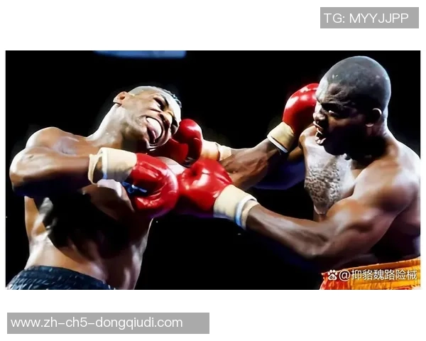 勒米厄与史蒂文森的巅峰对决谁将问鼎拳坛荣耀之巅